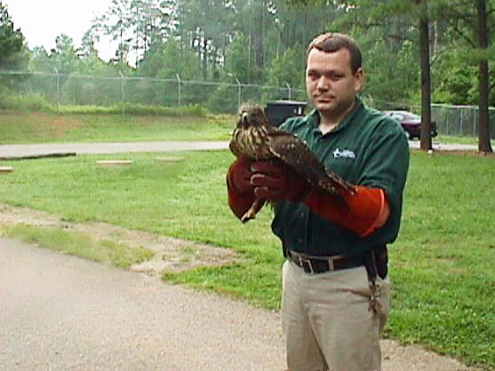 Hawk Handler Picture