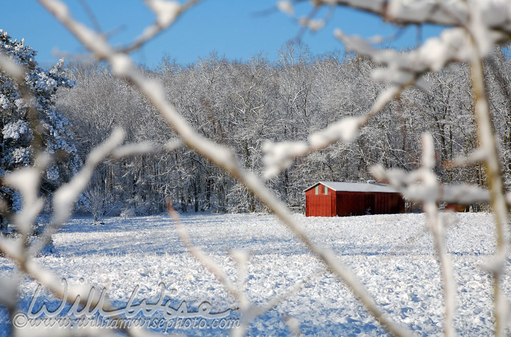 Snow Pasture Picture
