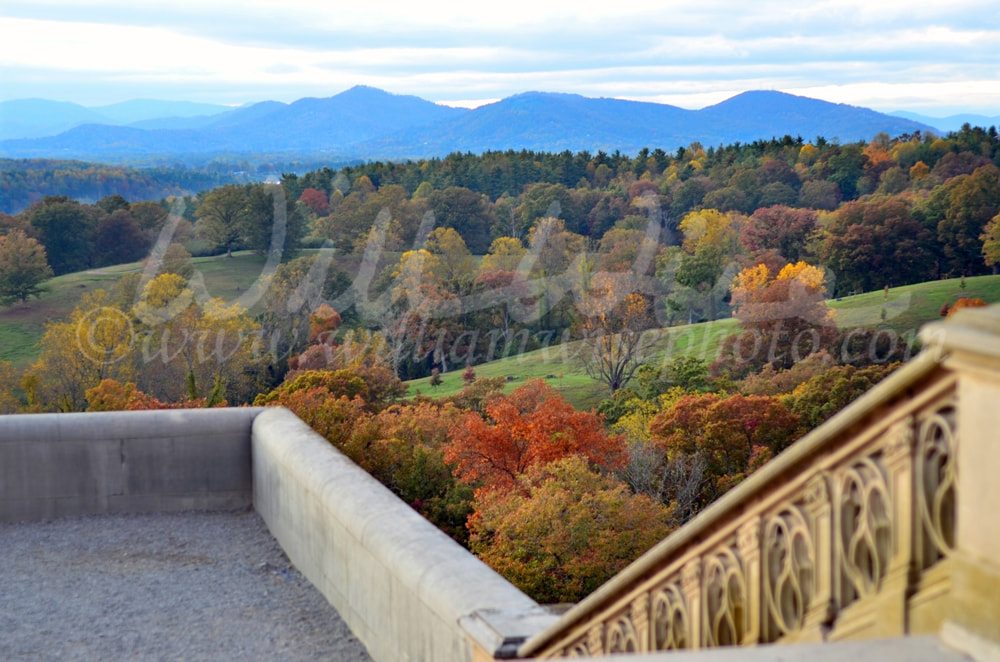 Pisgah Forest Picture