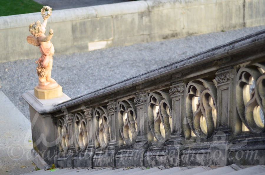 Biltmore Estate Terrace Picture