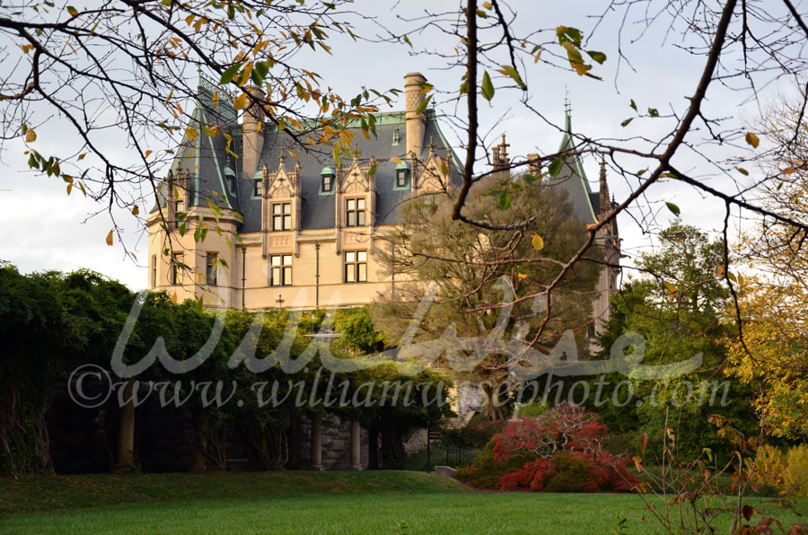 Biltmore Mansion Picture