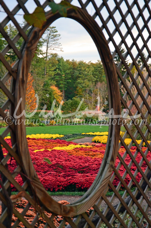 Biltmore Gardens Picture