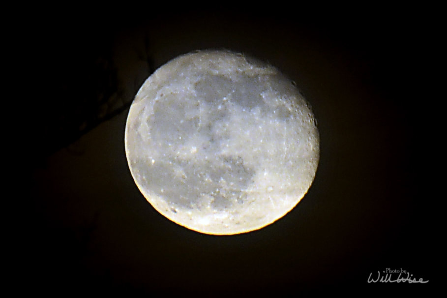 Waning Gibbous Moon Picture