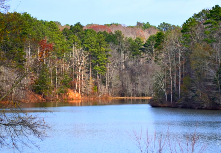 Sandy Creek Park Picture