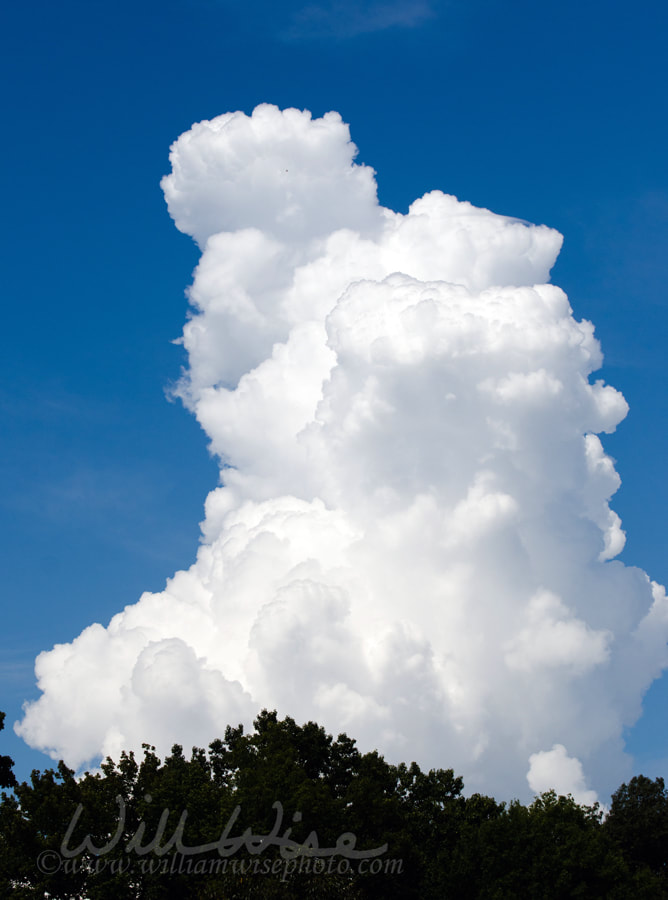 Cumulonimbus storm cloud Georgia Picture