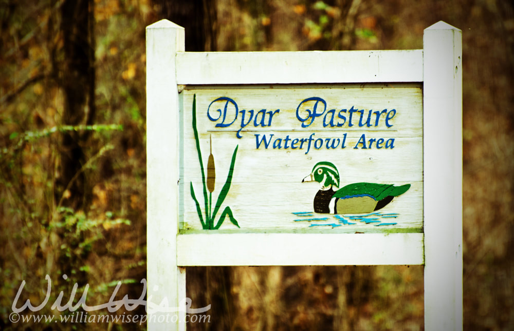 Dyar Pasture Waterfowl Area Picture