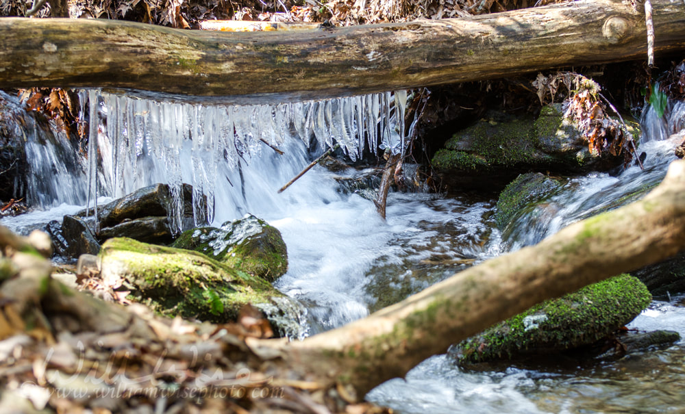 Icicles in cold North Georgia Mountain Stream Picture