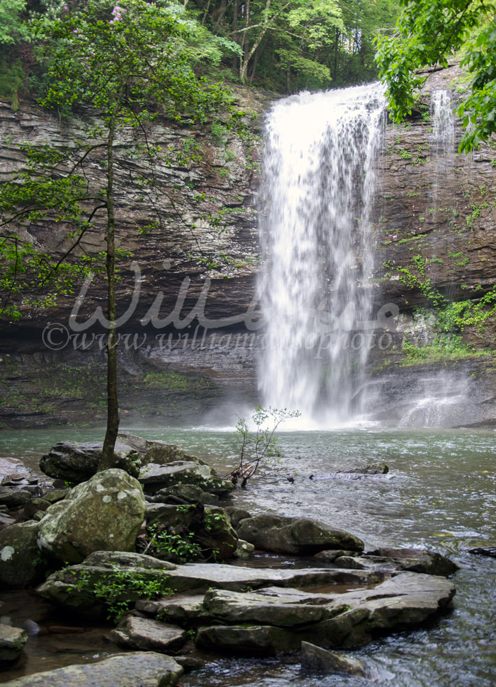 Waterfall Cloudland Canyon Georgia State Park Picture