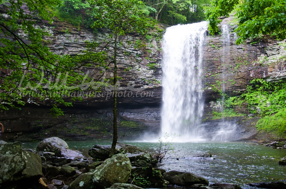 Waterfall in Cloudland Canyon State Park Georgia Picture