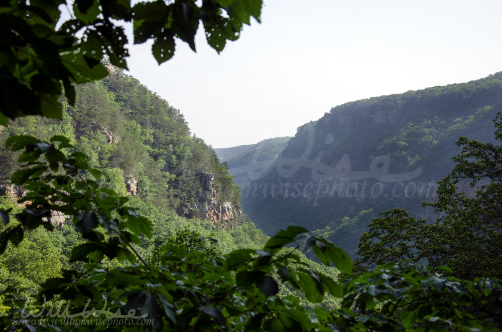 Cloudland Canyon Georgia State Park Picture