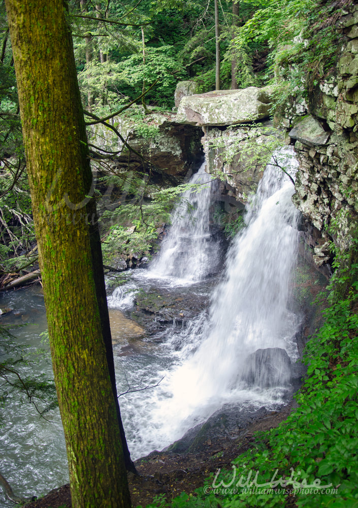 Waterfall in Cloudland Canyon Georgia State Park Picture