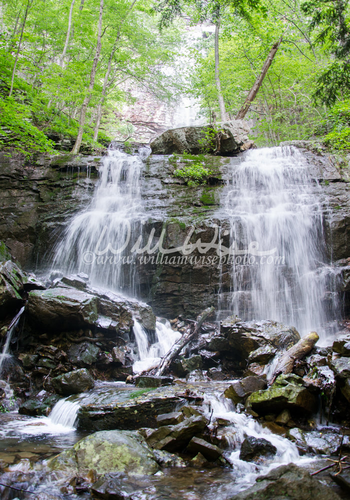 Waterfall in Cloudland Canyon Georgia State Park Picture