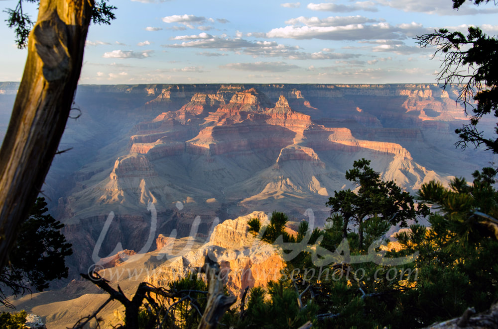 Grand Canyon Mather Point Overlook  Picture