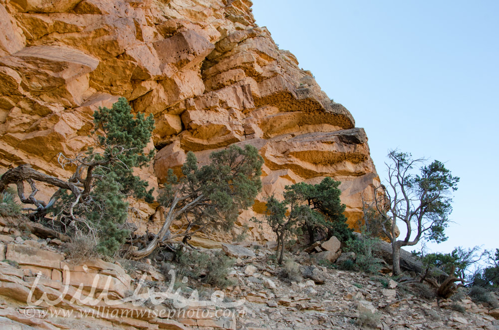 Grand Canyon rock walls Picture