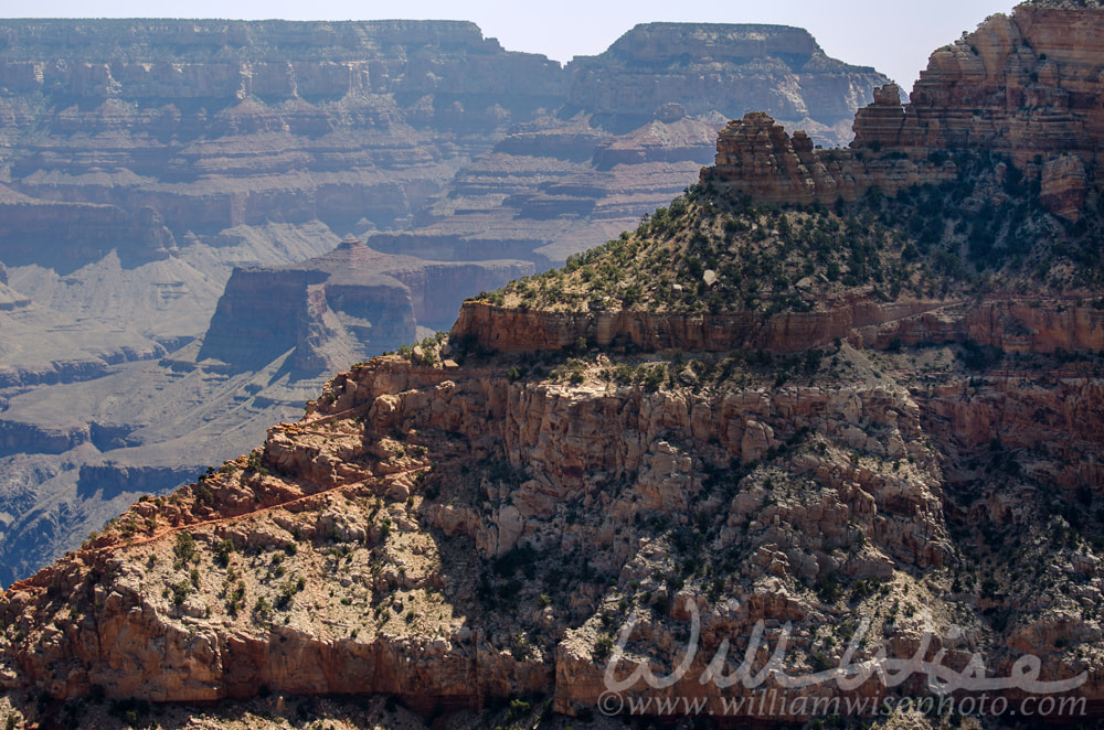 Cedar Ridge Trail, Grand Canyon National Park Picture