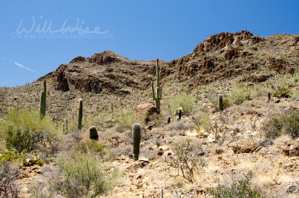 Gates Pass Tucson Arizona Picture