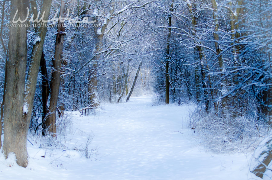 Winter snow hiking trail Picture