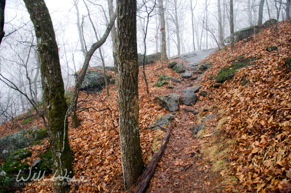 Appalachian Trail Big Cedar Mountain Path Picture