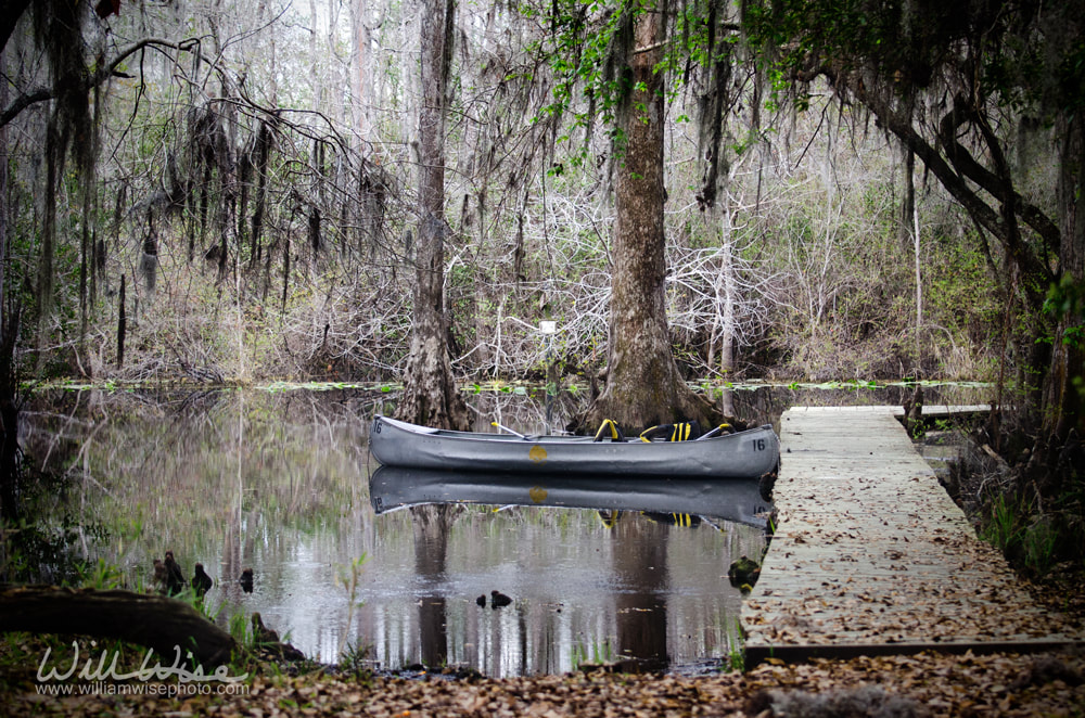 Billys Island boat dock Okefenokee Swamp National Wildlife Refuge, Georgia Canoe Paddle Picture