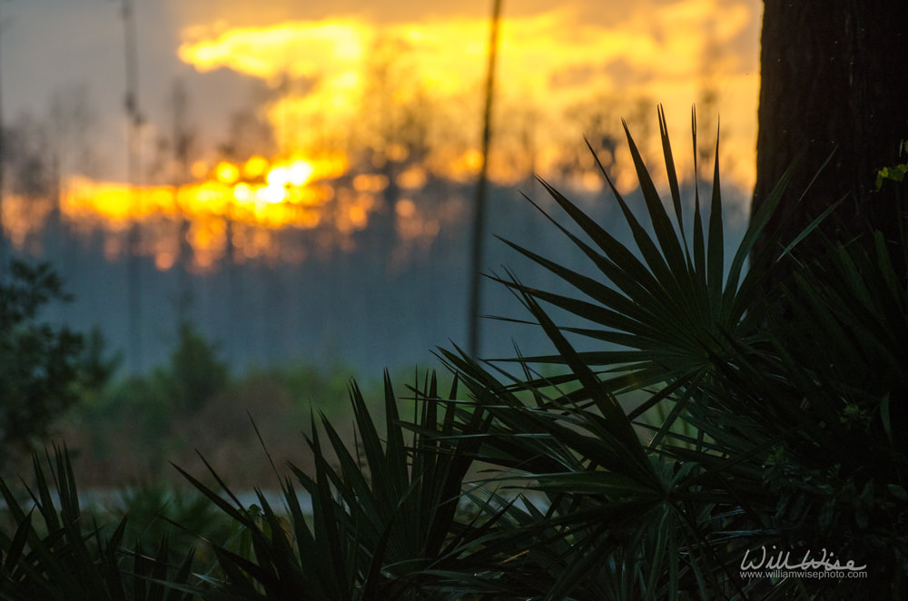 Sunset Stephen C Foster State Park Picture