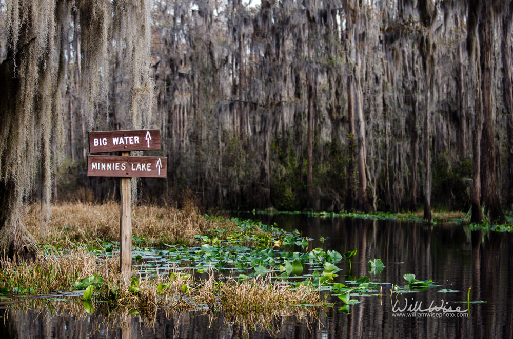 Okefenokee Canoe Trail Directional Sign Picture
