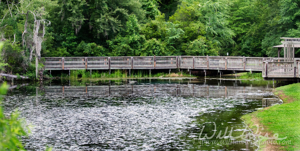 Boardwalk at Magnolia Springs Georgia State Park Picture