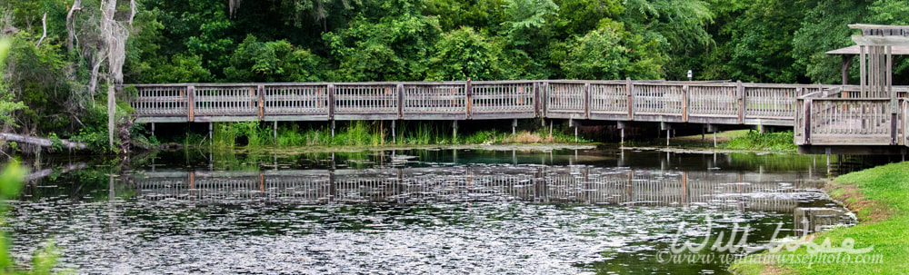 Boardwalk at Magnolia Springs Georgia State Park Picture