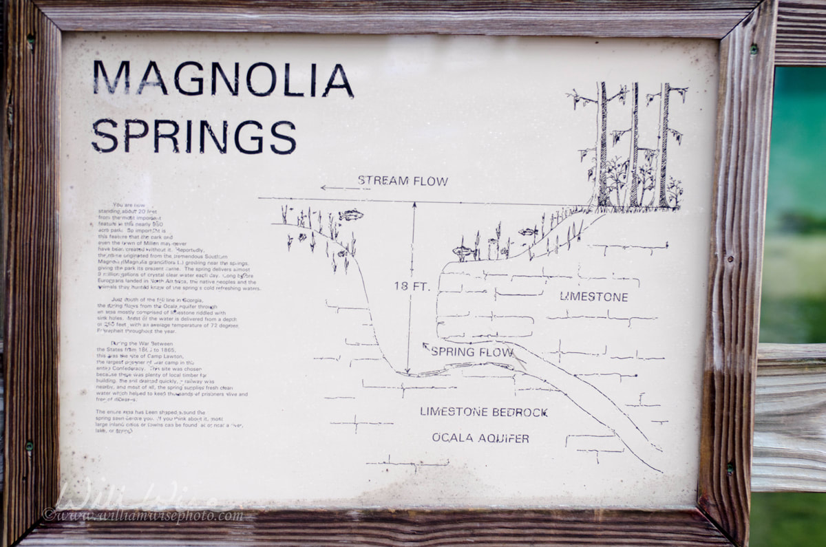 Magnolia Springs Georgia State Park Informational Sign Placard Picture