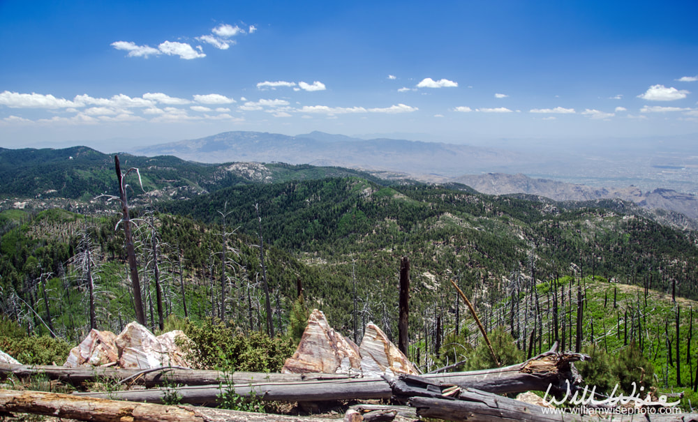 Mount Lemmon Picture