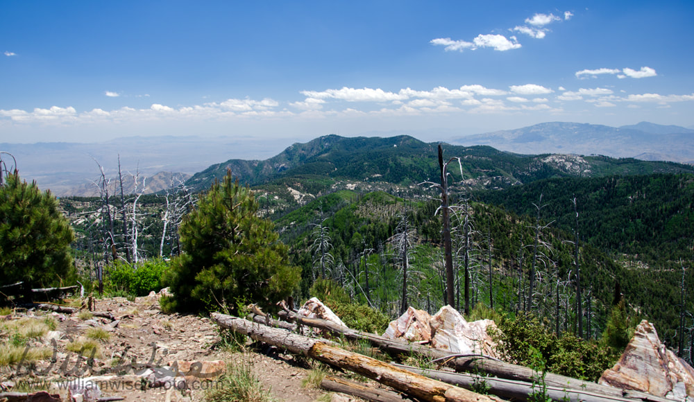 Desert Mountains panorama from Mount Lemmon Tucson Arizona Picture