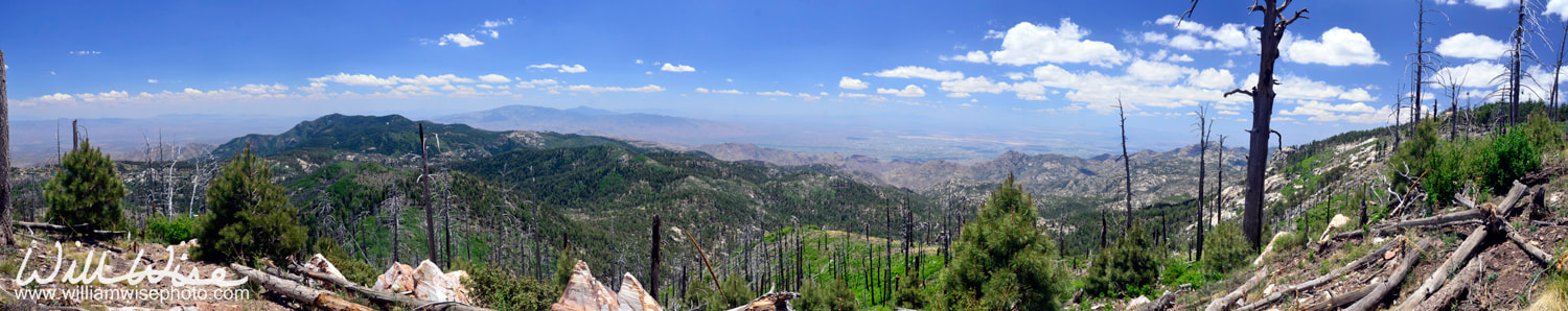 Panorma view from Mount Lemmon Tucson Arizona Picture