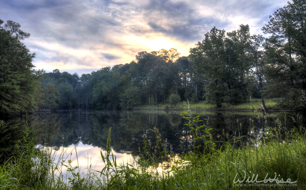 Upper Pond Picture