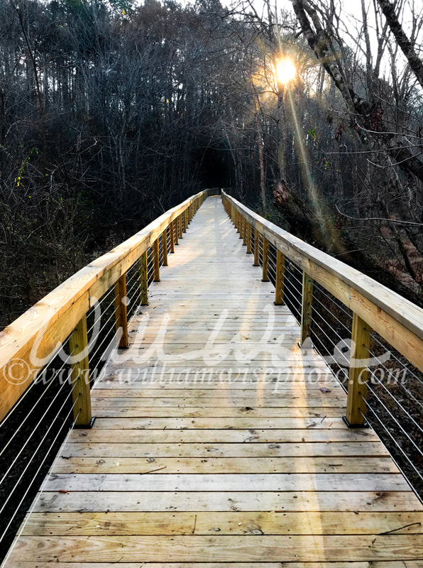 Foot bridge boardwalk on hiking trail iphone wallpaper Picture