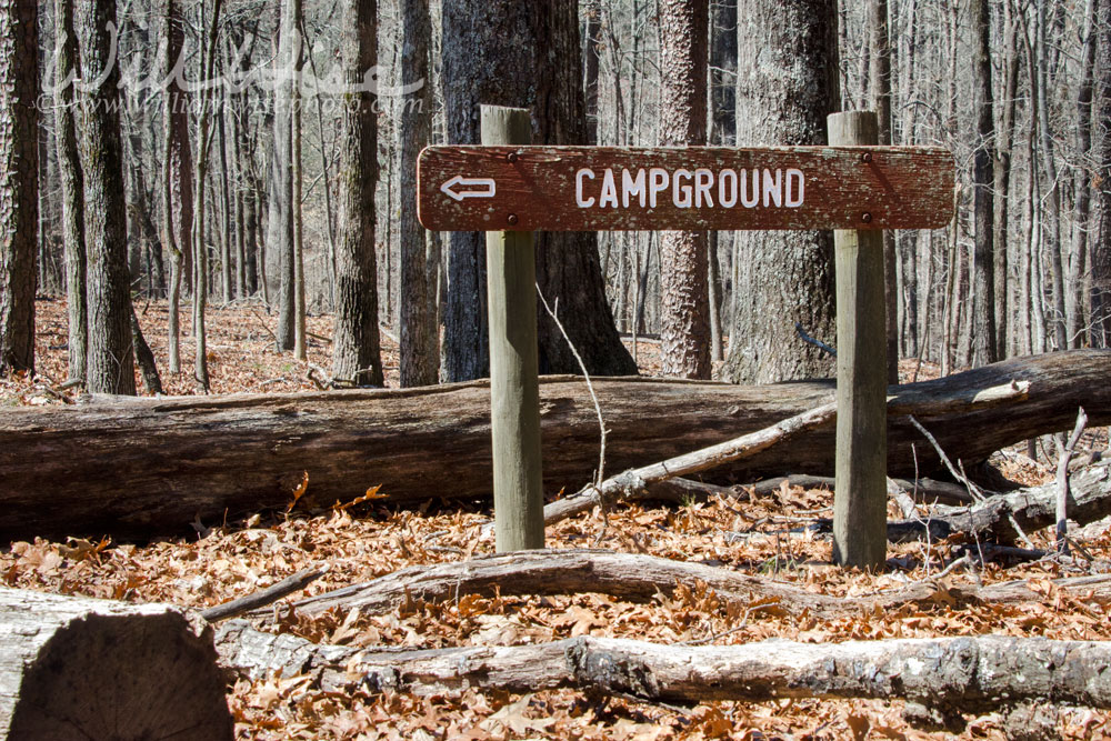 Rustic campgound direction hiking sign at Red Top Mountain State Park Picture