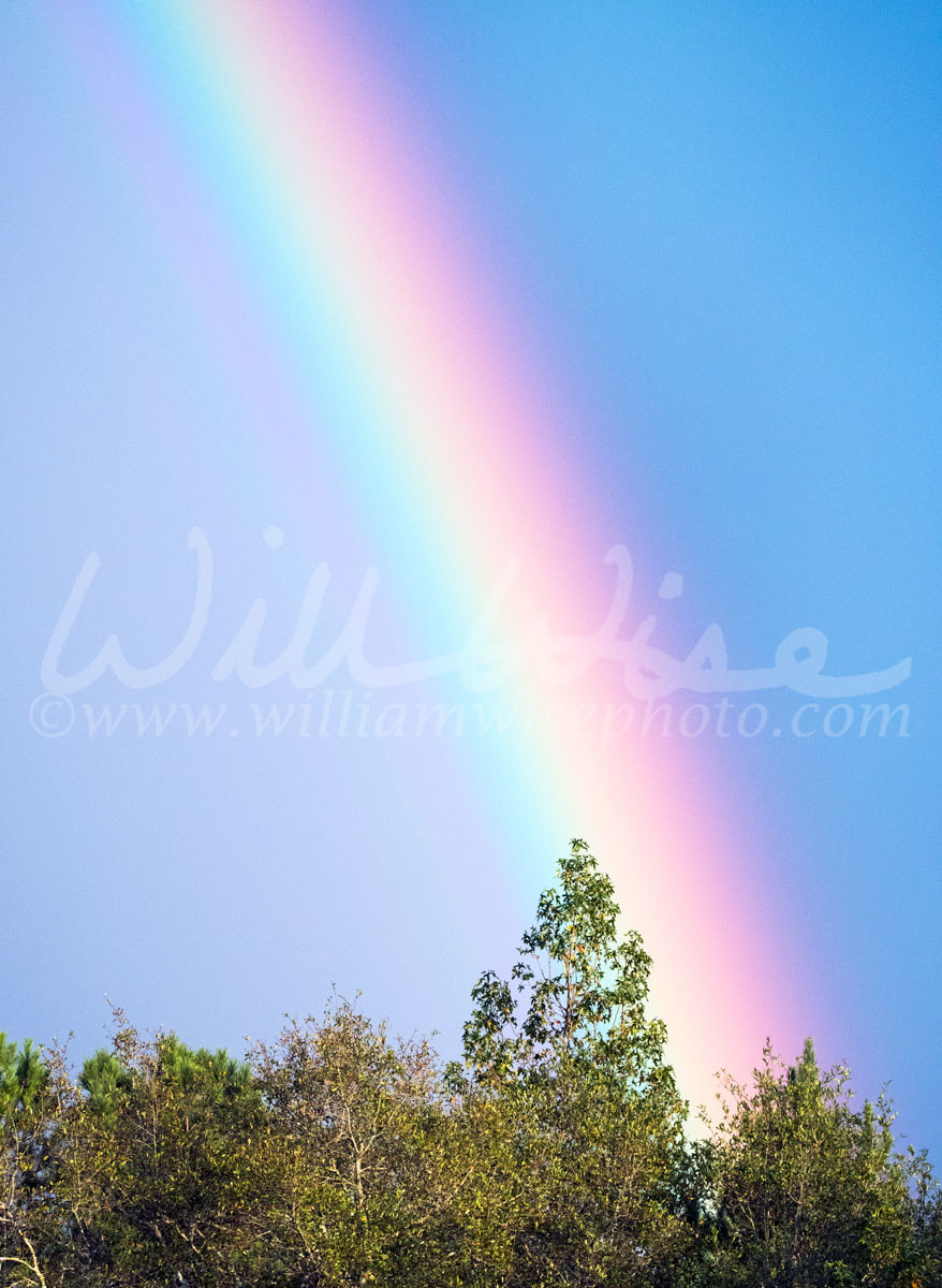 Rainbow over Athens GA Picture