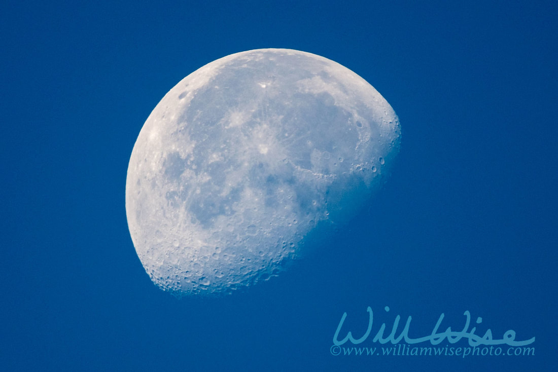 Waning Gibbous Moon Picture