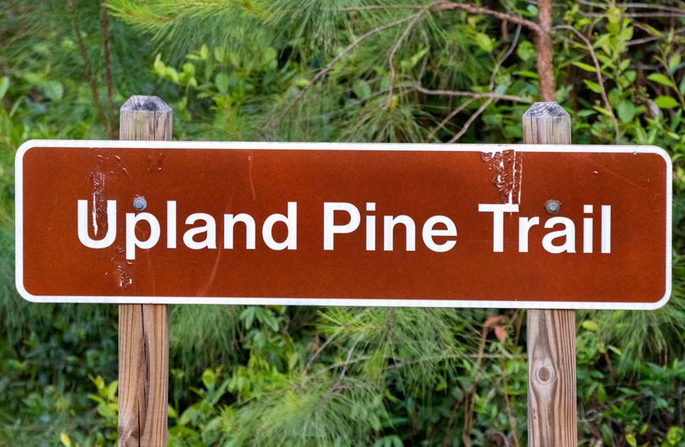 Hiking directional sign Upland Pine Trail in Stephen C Foster State Park, Georgia Picture