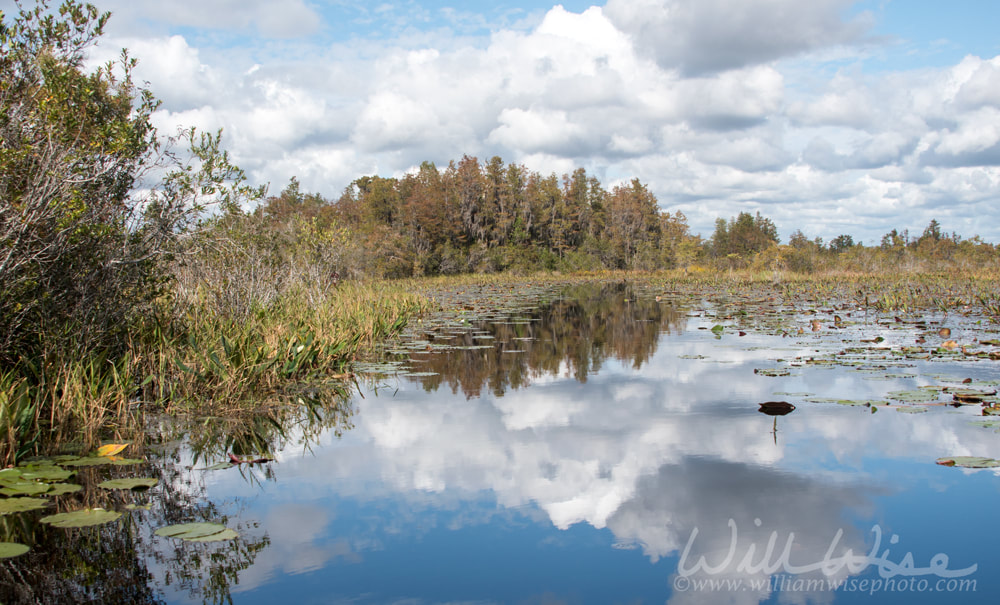 Tater Rake Run canoe and kayak boat trail through Chesser Prairie in Okefenokee Swamp, Georgia USA Picture
