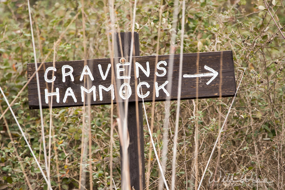 Cravens Hammock canoe kayak trail directional sign in the Okefenokee Swamp National Wildlife Refuge Georgia Picture