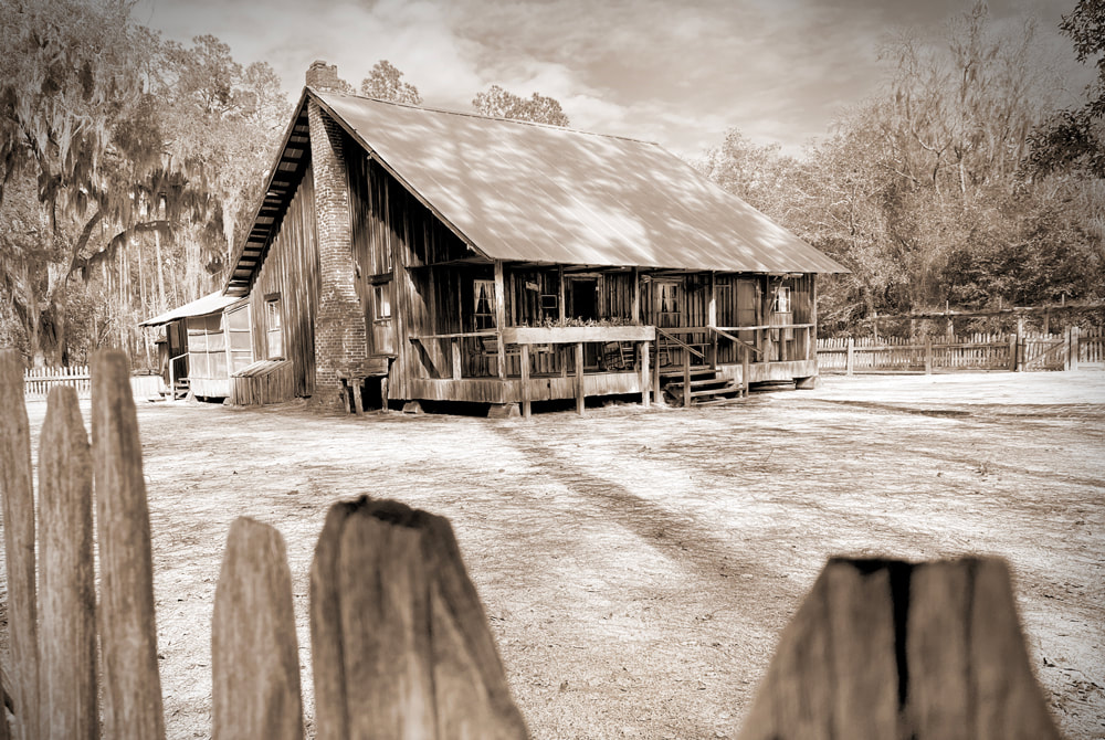 Old swamper homestead cabin on Chesser Island in the Okefenokee Swamp, Georgia Picture