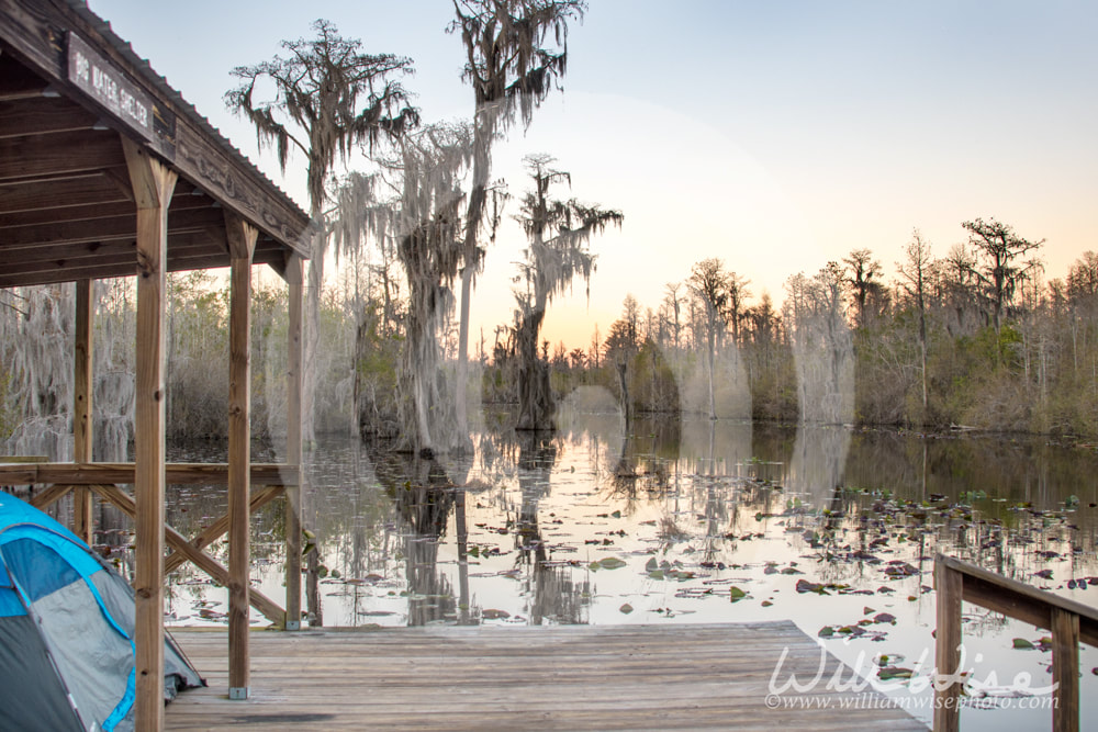 Sunset at the Big Water camping platform shelter in the Okefenokee Swamp National Wildlife Refuge, Georgia Picture