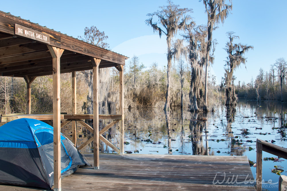 Big Water camping platform shelter in the Okefenokee Swamp National Wildlife Refuge, Georgia Picture