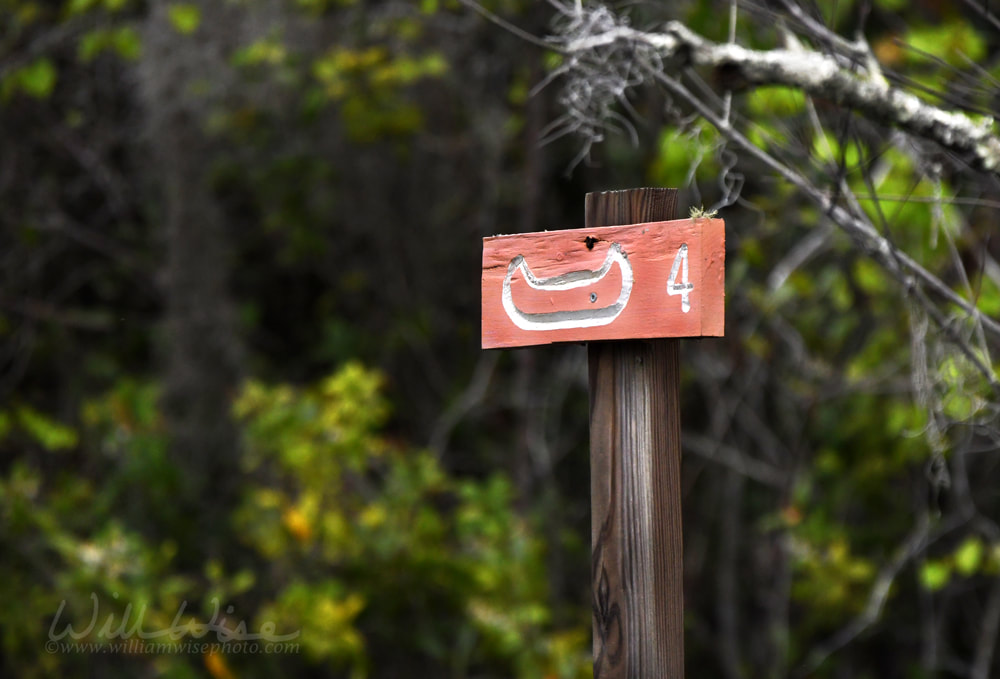 Canoe Kayak trail marker in the Okefenokee Swamp National Wildlife Refuge, Georgia USA Picture