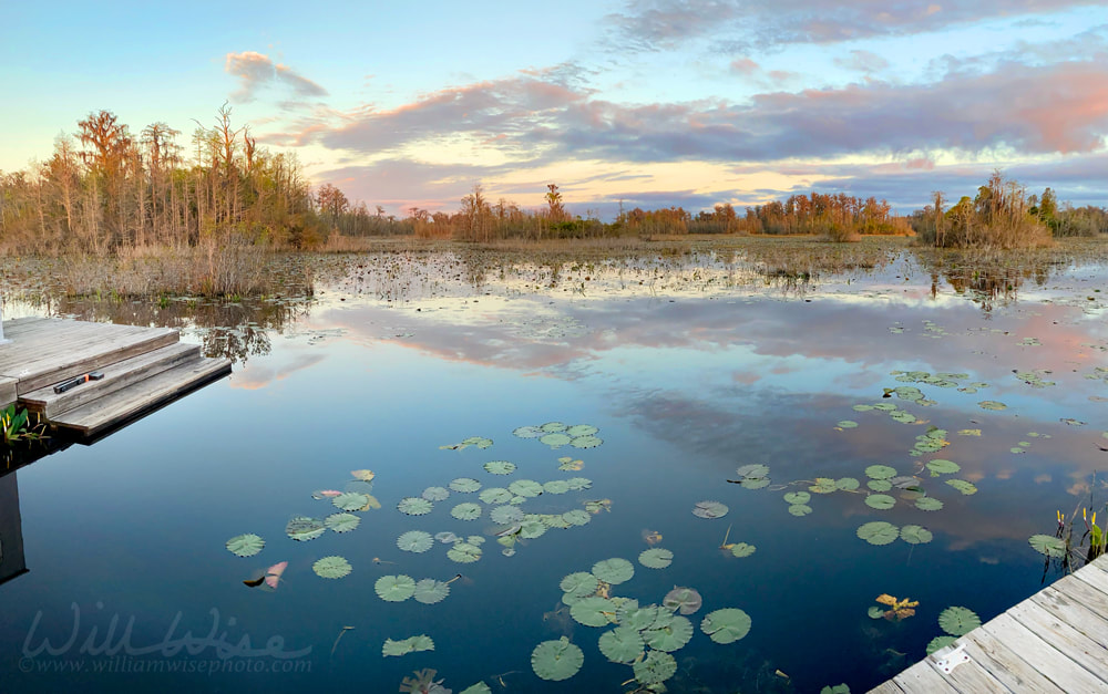 Panorama view of Chase Prairie from the Round Top Shelter in Okefenokee National Wildlife Refuge, Georgia USA Picture