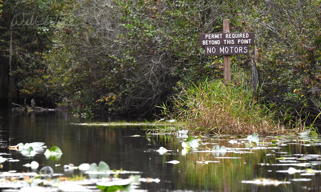 Permit Required Canoe Trail Sign, Okefenokee Swamp National Wildlife Refuge, Georgia Picture