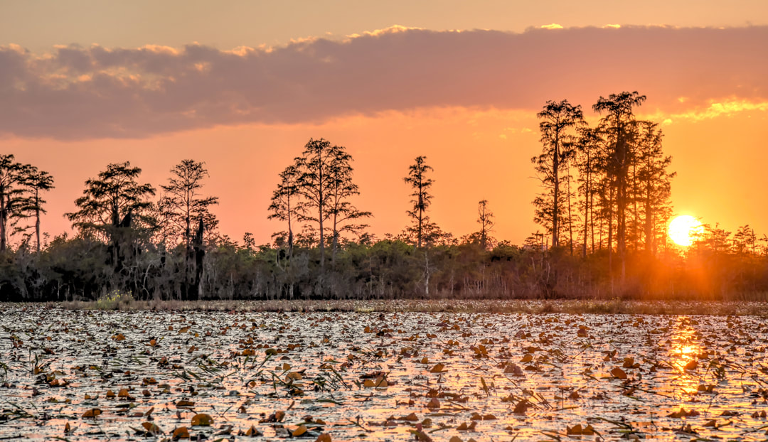 Dusk sunset over Grand Prairie, Okefenokee Swamp National Wildlife Refuge, Georgia Picture