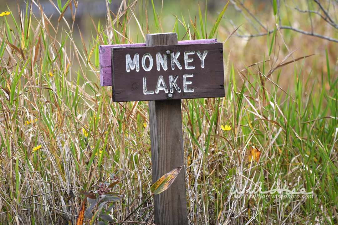 Monkey Lake sign, Okefenokee Swamp National Wildlife Refuge, Georgia Picture