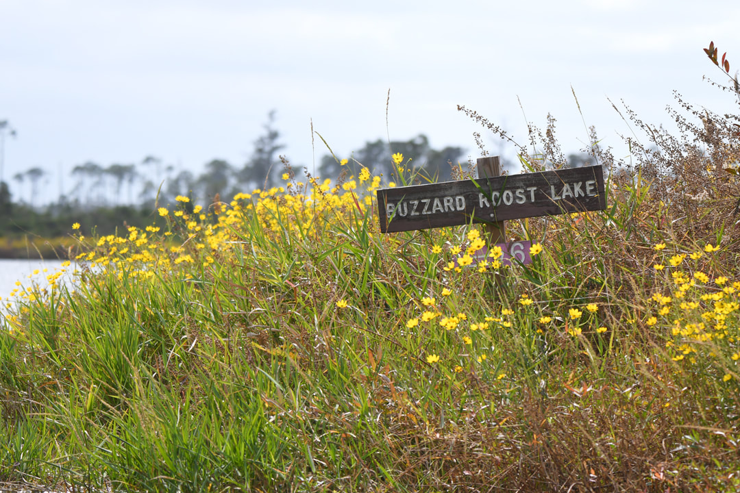 Buzzards Roost Lake sign, Okefenokee Swamp National Wildlife Refuge, Georgia Picture