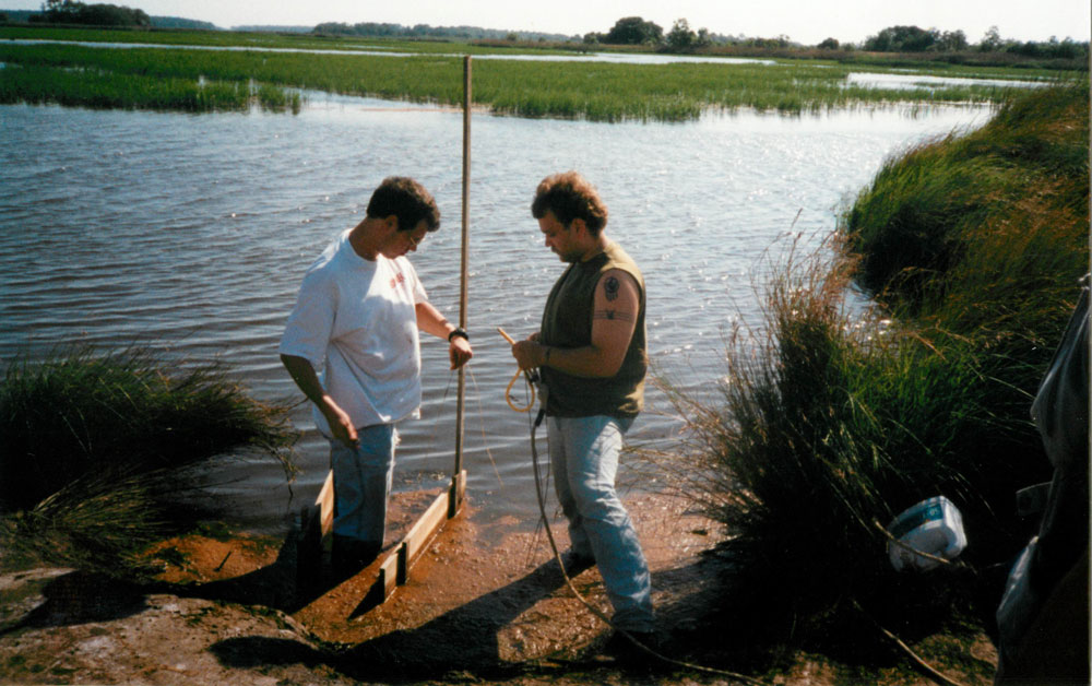 Alligator snare trap Picture