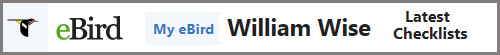 William Wise ebird profile Picture